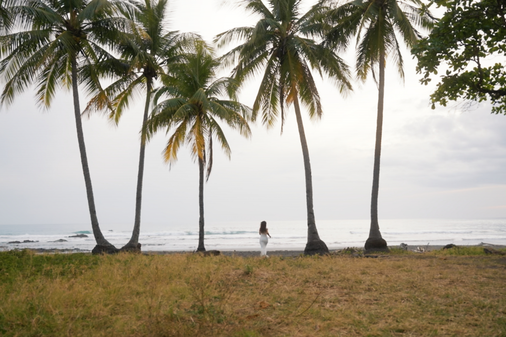 how to choose your wedding videographer